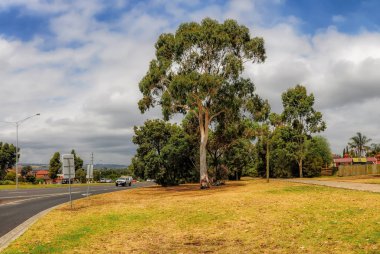 Princes Karayolu Avustralya 'nın en büyük yoludur.