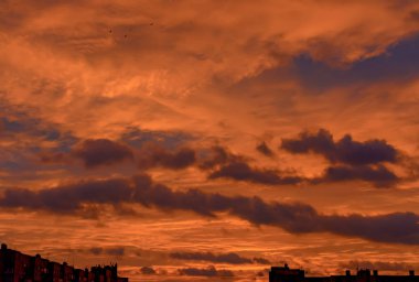 St. Petersburg 'da alışılmadık renkli gün doğumu