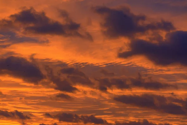 Nascer do sol excepcionalmente colorido em São Petersburgo no início de — Fotografia de Stock