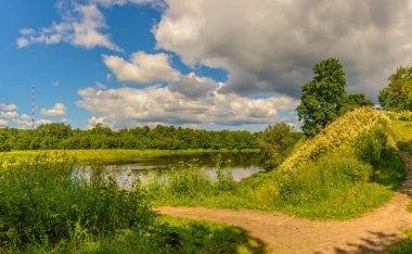 Kin 'deki Luga nehrinin kıyısındaki parkta güneşli bir Temmuz günü