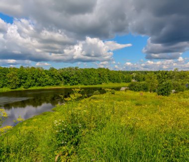 Kin 'deki Luga nehrinin kıyısındaki parkta güneşli bir Temmuz günü