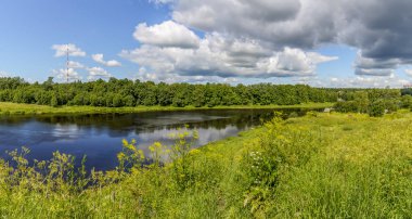 Kin 'deki Luga nehrinin kıyısındaki parkta güneşli bir Temmuz günü