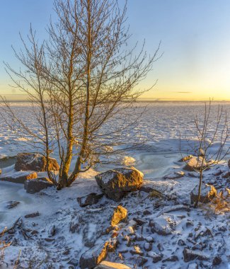 29 Şubat 2020 'de Finlandiya Körfezi kıyılarında güneşli bir gün.. 