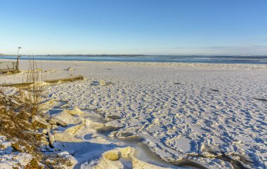 29 Şubat 2020 'de Finlandiya Körfezi kıyılarında güneşli bir gün.. 