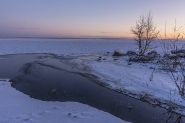 29 Şubat 2020 'de Finlandiya Körfezi kıyılarında güneşli bir gün.. 