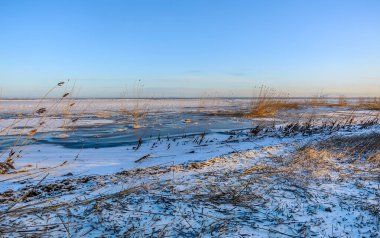 29 Şubat 2020 'de Finlandiya Körfezi kıyılarında güneşli bir gün.. 