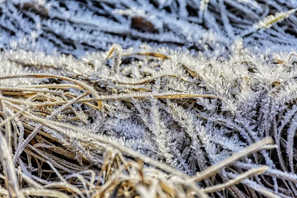 Fondo Con Hoarfrost Erba Secca Tempo Freddo Soleggiato Mese — Foto Stock