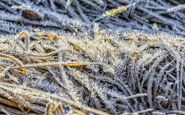 Fondo Con Hoarfrost Erba Secca Tempo Freddo Soleggiato Mese — Foto Stock