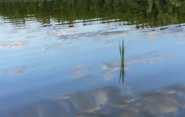 Sabahın erken saatlerinde, Balarusi 'deki Drozdy barajının kıyısında.. 