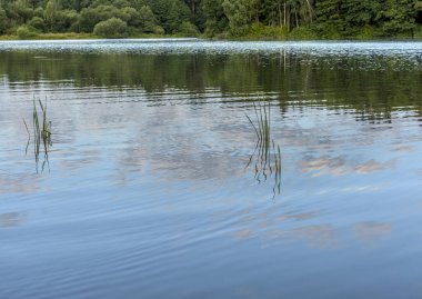 Sabahın erken saatlerinde, Balarusi 'deki Drozdy barajının kıyısında.. 