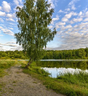 Sabahın erken saatlerinde, Balarusi 'deki Drozdy barajının kıyısında.. 