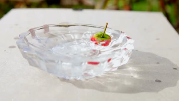 Fraises tombant dans l'eau causant des bulles tout autour — Video