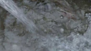 kabarcıklar Inwater closeup
