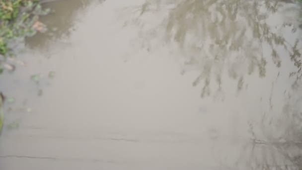 As gotas de chuva criam ondulações e círculos em poças durante uma tempestade. poças com folhas e chuva — Vídeo de Stock