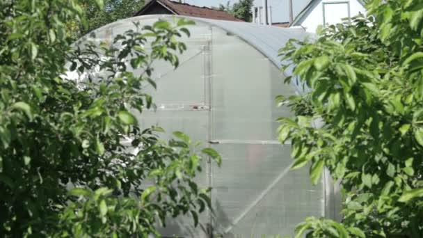 Invernadero plástico primitivo en granja jardín de primavera — Vídeo de stock