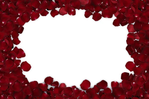 Frame of red rose petals isolated Stock Image