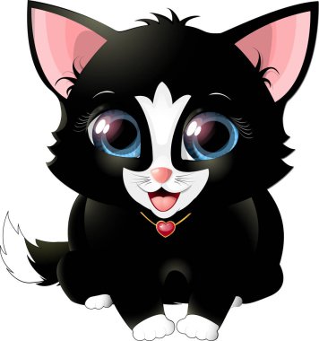 Siyah yavru kedi. Beyaz arka plan üzerinde izole.