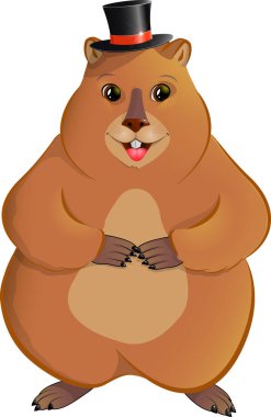 Melon şapkalı bir sıçan