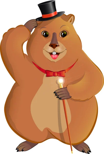 Marmotte avec une canne . — Image vectorielle