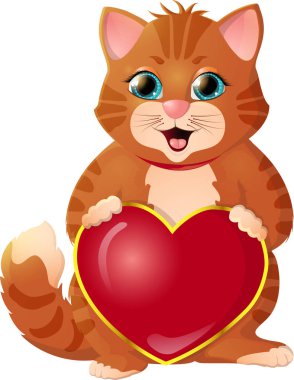 beyaz zemin üzerine zencefil yavru kedi