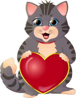 Beyaz arka planda gri kedi yavrusu