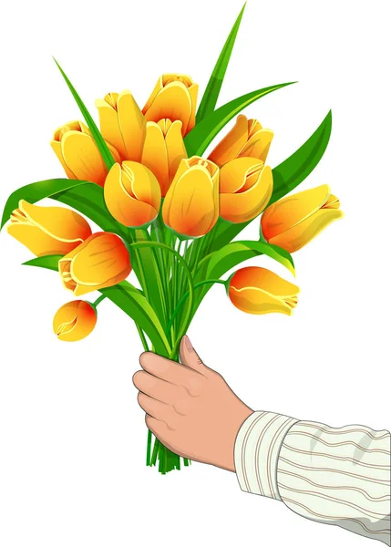 Tulipanes amarillos en mano — Vector de stock