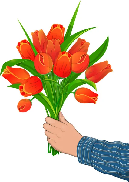 Red Tulips in hand — Stock Vector
