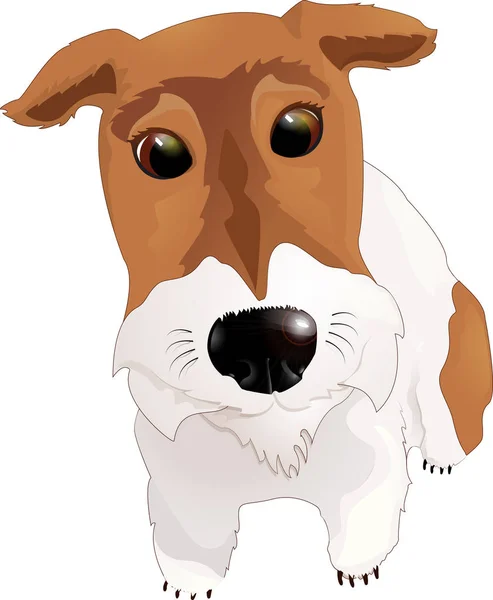 Mi perro zorro terrier — Vector de stock
