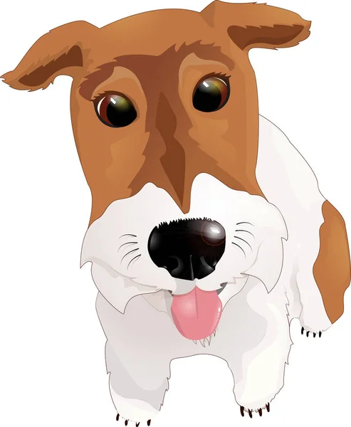 Fox Terrier sacando la lengua — Vector de stock