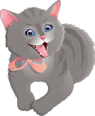 gri gülümseyen kedi.