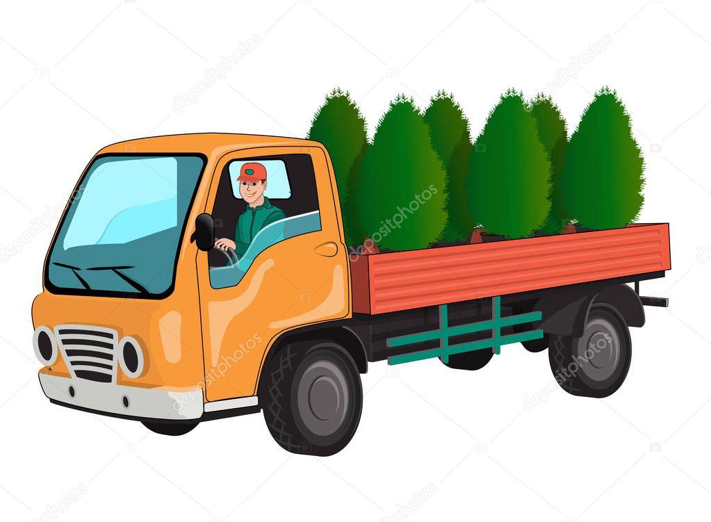 Truck with thuja. 