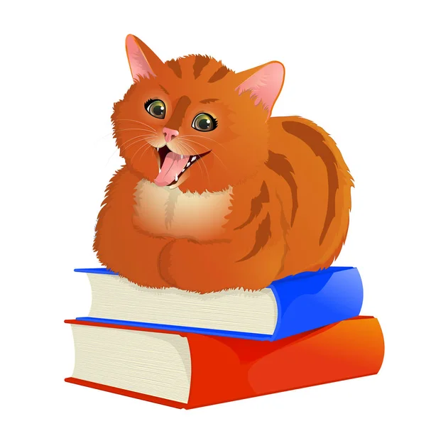 Gatto dai capelli rossi sdraiato sui libri — Vettoriale Stock