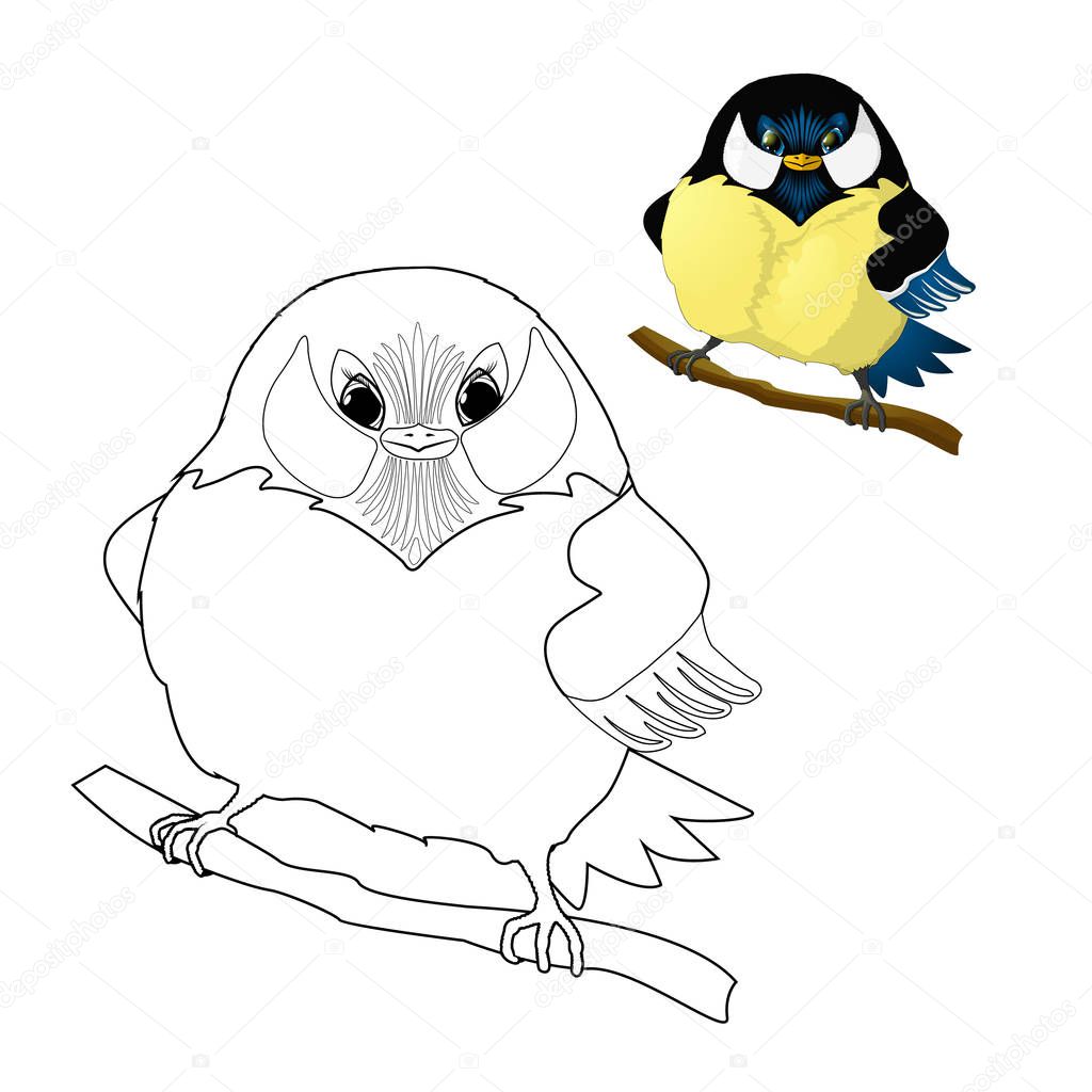 Bird - titmouse coloring for kids
