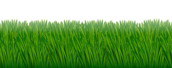 Verde Jugosa Hierba Patrón Horizontal Sin Costuras Con Niebla Ligera — Vector de stock