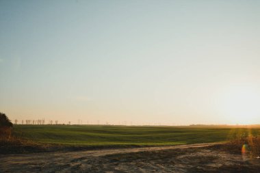 Sunset at the forest and sand road