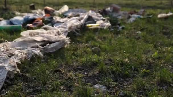 Mult gunoi în natură. Pungile de plastic se mișcă în vânt. O temă conceptuală despre protecția mediului . — Videoclip de stoc