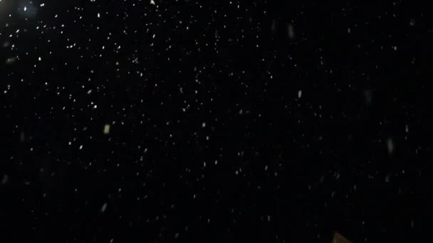 de nombreux flocons de neige tombant du ciel sur un fond noir 