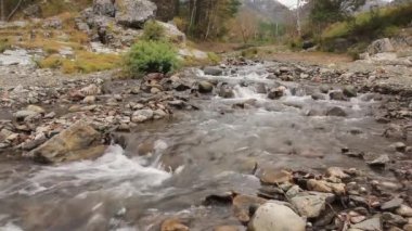 Küçük dağ nehri. Kayalar arasında akan dere ile Manzara. orijinal ses ile