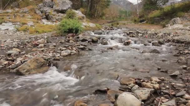 Liten fjäll flod. Landskap med ström flyter mellan klipporna. med original ljud — Stockvideo