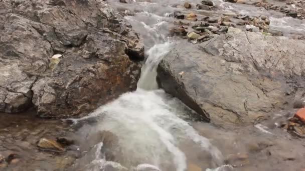 小さな山の川岩の間を流れる小川のある風景。オリジナルサウンド付き — ストック動画