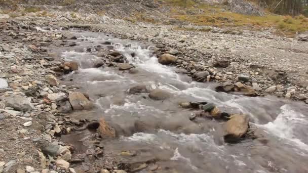 Kis hegyi folyó. Tájkép a sziklák között folyó patak — Stock videók