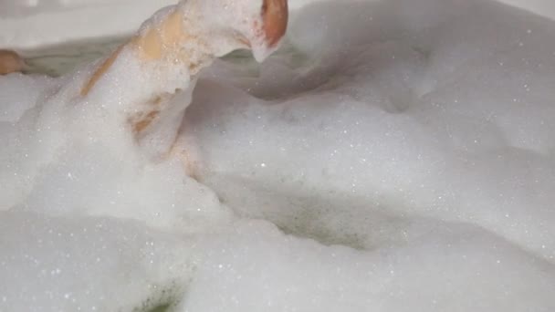 Mujer joven disfrutando de un baño agradable con espuma, primer plano lavándose las piernas — Vídeo de stock