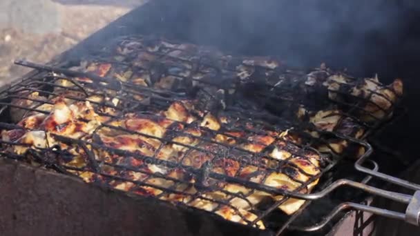 Stek kött och bröd i brand. Riktiga lågor i elden med brinnande loggar — Stockvideo
