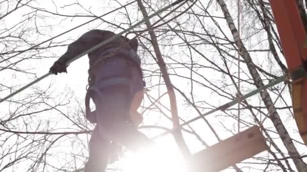 Jonge vrouwelijke klimmer wandelingen door hanger log brug op hoge touwen cursus in extreme park — Stockvideo