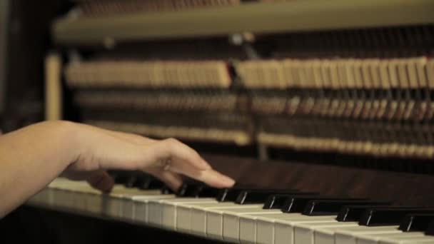 Toca el piano. Primer plano de manos femeninas tocando el piano. Dedos en el piano — Vídeos de Stock