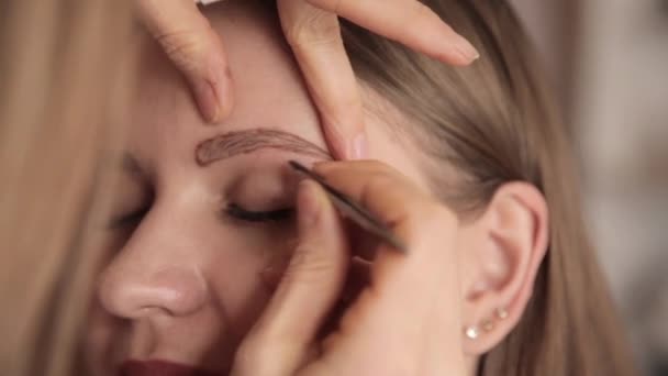 Make-up artist plockning ögonbryn för kvinnlig kund — Stockvideo