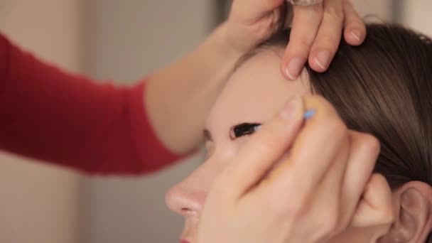 Artista de maquillaje profesional dibujando cejas de cliente con henna — Vídeos de Stock