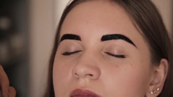 Professionele make-up artiest tekening van de wenkbrauwen van client met henna — Stockvideo