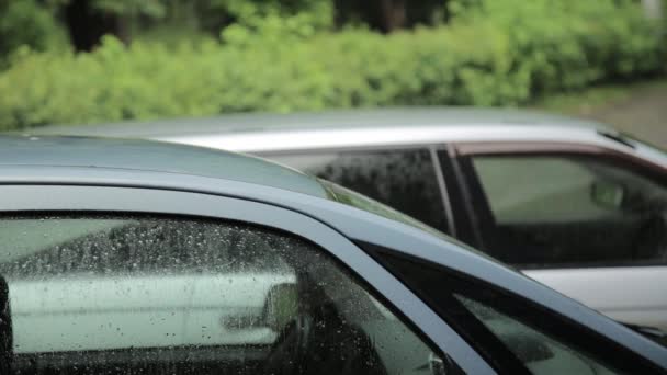 Lluvia cayendo en el lado del coche, techo y vidrio — Vídeo de stock