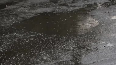 Bir asfalt üzerinde yol su birikintisi yağmur damlaları içinde